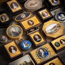 Napoleon Foundation Collection