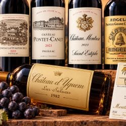 Vente judiciaire- Vins 