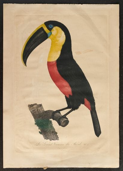 Art, Collections and Design at Lasne