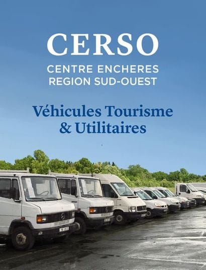 VEH. TOURISME / UTILITAIRES / CAMION PORTE-ENGIN / GRUE / MINI-PELLE / TRACTEURS AGRICOLES  