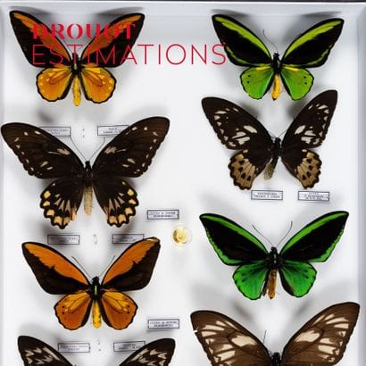 Histoire Naturelle, Collection d'appareils photos anciens & Militaria