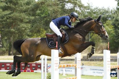 ONLINE - UNIQUEMENT SUR INTERNET - ouverture de la vente lundi 25 juin à 12 heures et clôture le dimanche 1er juillet à 12 heures CHEVAUX DE SPORT CESSATION D'ELEVAGE ET A DIVERS