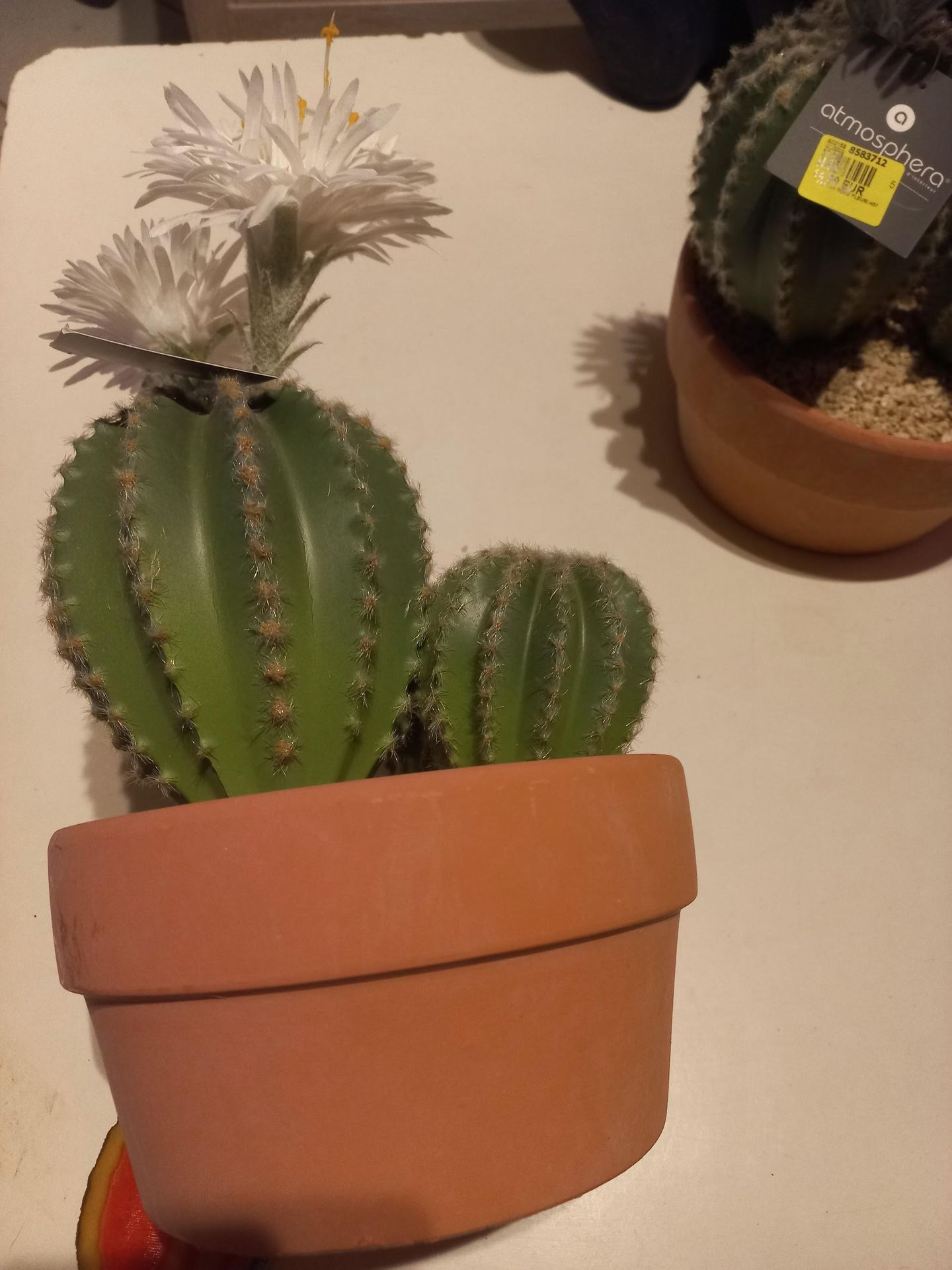 1 pot de cactus artificiels