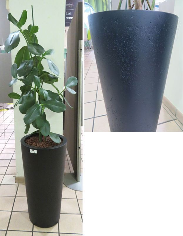 Null NATURAL PLANT IN ITS POT IN COMPOSITE MATERIAL OF COLOR GRAY ANTHRACITE. PO&hellip;