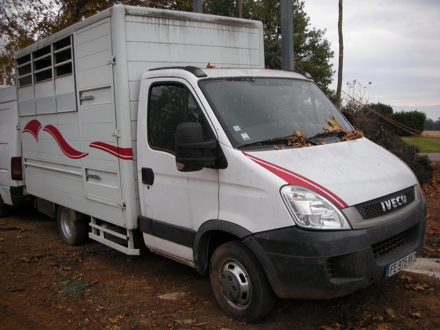 Null [RP][ACI] 
Reserved for professionals
IVECO 35C12 diesel cattle van, imm. F&hellip;