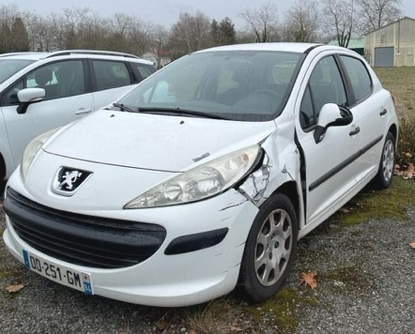 Null [RP] Reserved for vehicle professionals
 
	 PEUGEOT 207, diesel, imm. DD-25&hellip;