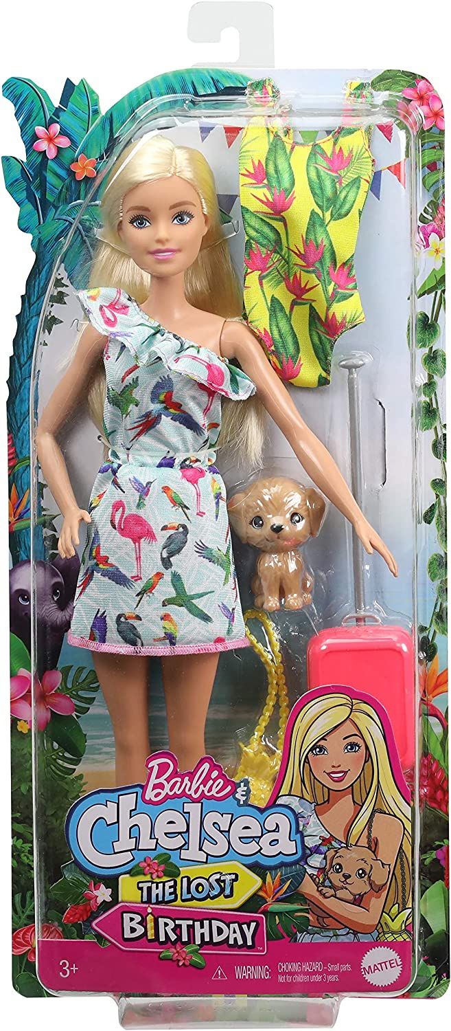 Coffret Barbie Famille l'Anniversaire Perdu de Chelsea -…