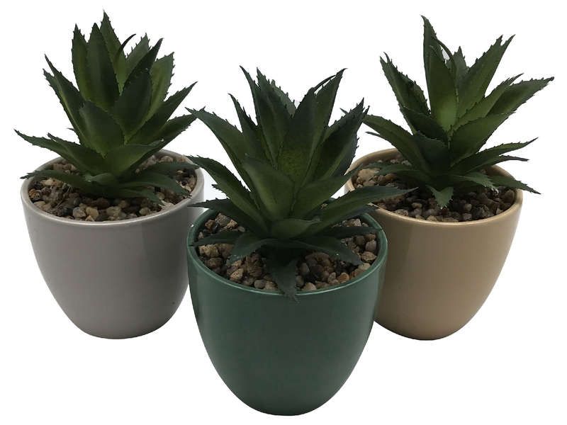 Null Lot de 3 plantes artificielles assorties "PRECIEUSE" H17 - diam 10cm - 6872&hellip;