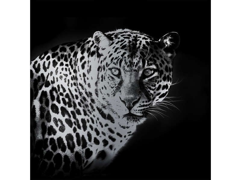 Null Metal wall decoration 50 cm - Jaguar - 745751-sold new with slight defect o&hellip;