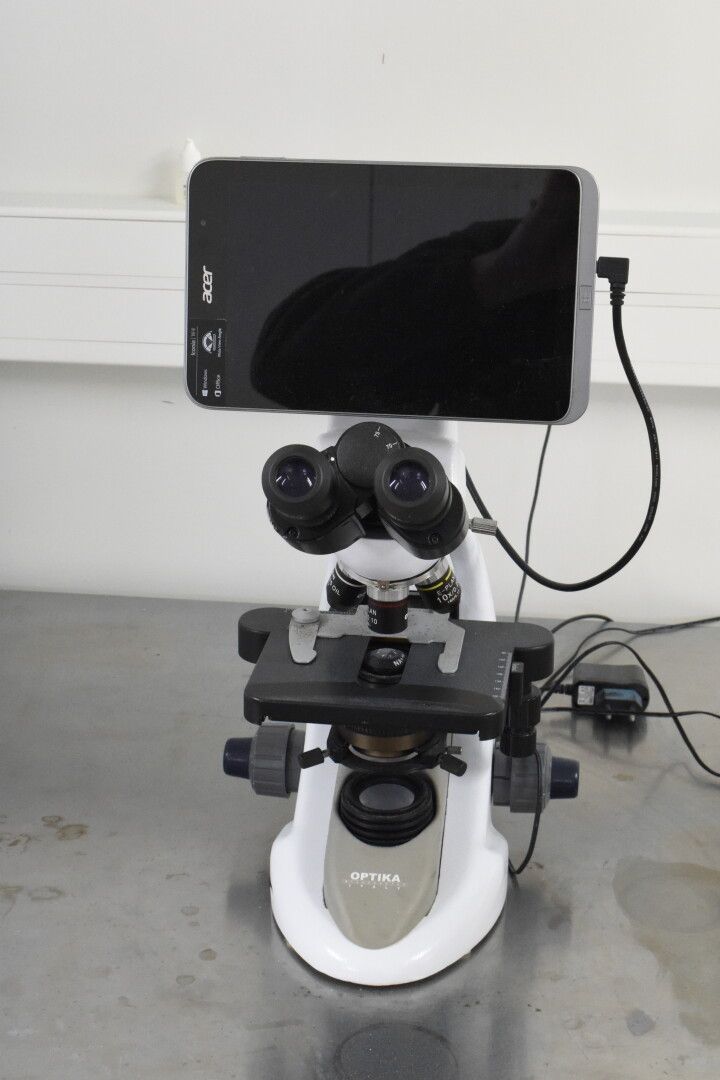 Null Microscope binoculaire OPTIKA modèle B-290TB (N° 424403), avec tablette tac&hellip;