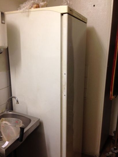 null 1 réfrigérateur 1 porte battante LADEN