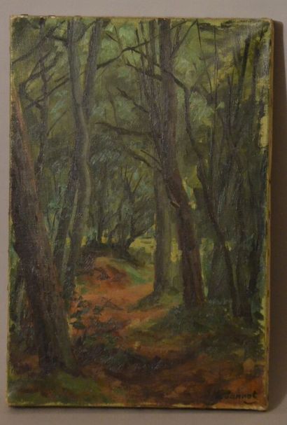 null JANNOT Henri ( 1909-2004) " Dans la forêt" Huile sur toile signée en bas à droite...