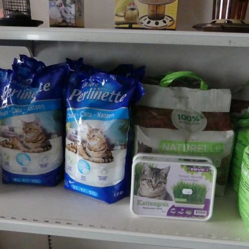 Null IMPORTANT LOT INCLUDING BOWLS, CAT TREES, LEASHES, COLLARS, TRANSPORT BOXES&hellip;