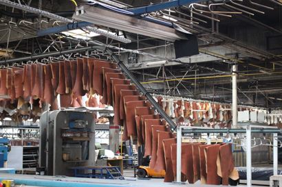 FRANCE TANNERIE