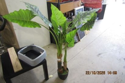 1 plante artificielle.