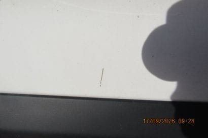 CTTE CITROEN BERLINGO 
Body style: VAN
Model...